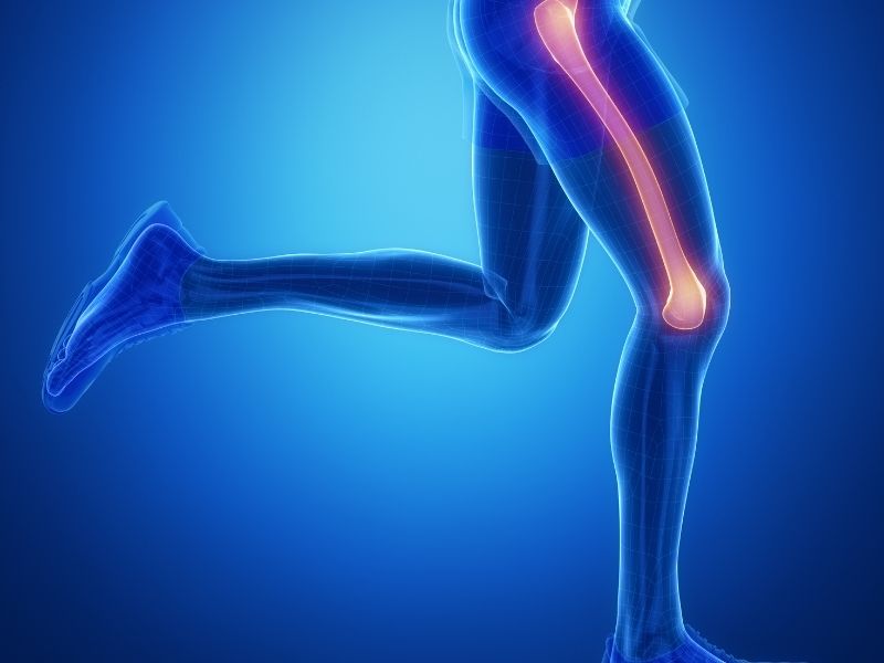 femur