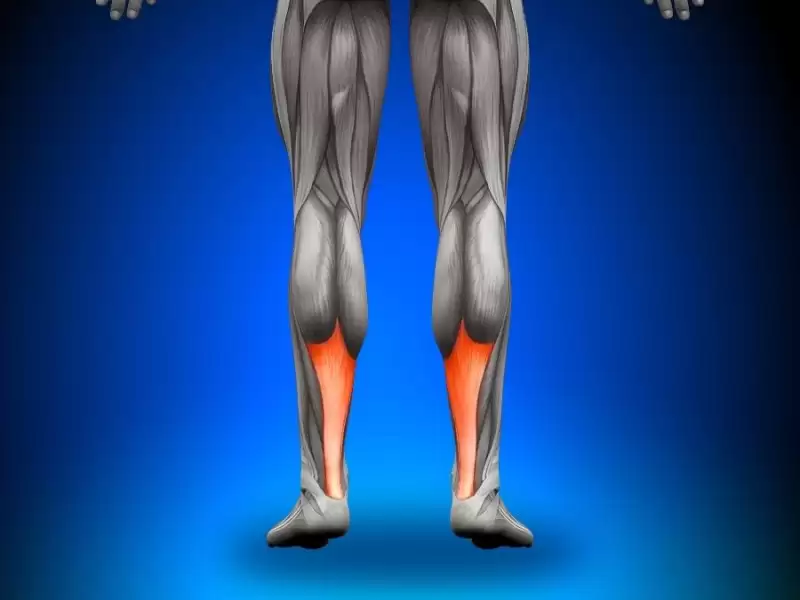asil-tendonu
